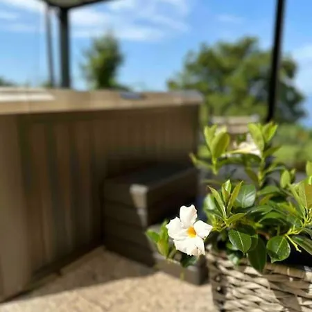 Sunny Apparment Apartment *